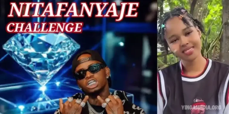 Video Diamond Platnumz – Nitafanyaje